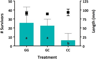 Algae and Clay Water Additives Differentially Impact Survival and Microbial Community Structure in Sablefish (Anoplopoma fimbria) Rearing Tanks